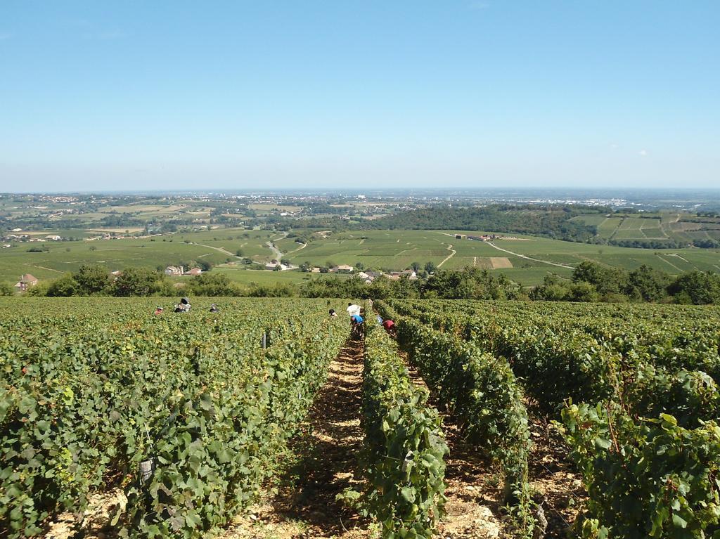 Saint-BoilLe Haut De Collonge别墅 外观 照片